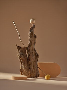 An artistic still life arrangement of natural elements