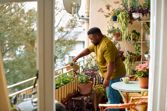 Herb Gardening on a Balcony