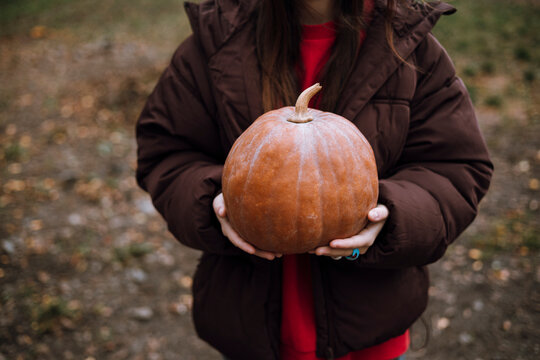 Teenage girl holding pumpkin during autumn harvest
