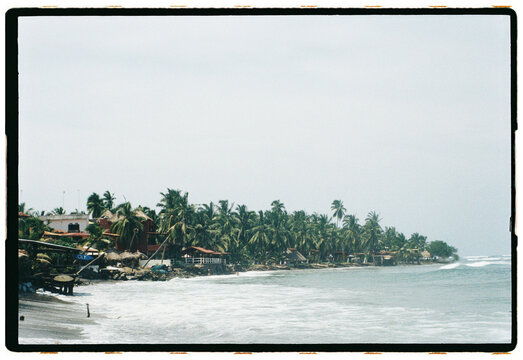 Palm Lined Mexican Coast