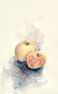 Sketch of two apples