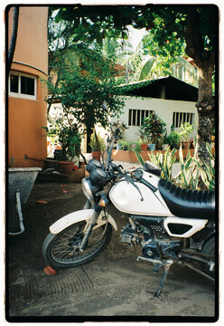 Motorcycle in Mexican Garden