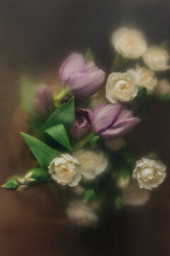 Roses behind frosted glass background