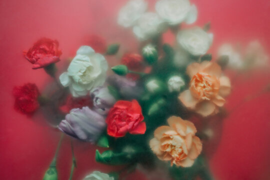 Roses behind frosted glass with soft red floral background