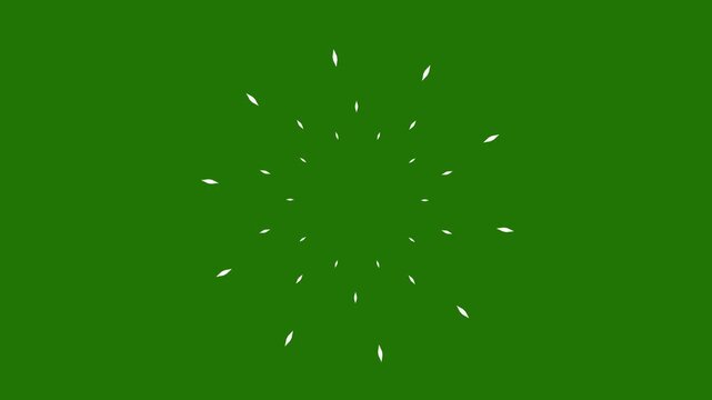 Circle fireworks line burst animation, flat vector doodle style pop up effect, 4k motion graphics overlay with shiny circle ring highlights, fireworks line sparks animation, blast on green screen