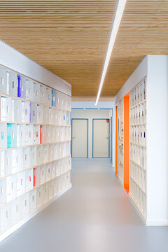 Modern coworking office corridor with colorful storage locker