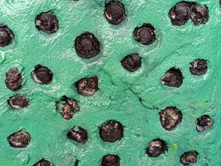 A turquoise-painted surface scattered with small stones and featuring a rough texture creates a striking industrial-abstract backdrop, complete with weathered details, cracks, and contrasting organic  © Soni