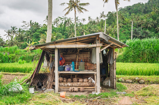 Rustic farm shelter beside rice field in Bali