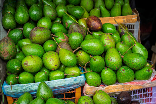 Fresh green avocados displayed at a traditional market