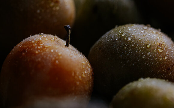 Macro shot of ripe plum with water droplets and dark mood