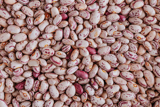 Close-up of dried borlotti bean texture background
