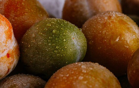 Fresh wet plum close-up with dew drops and rich color