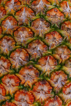 Macro texture of ripe pineapple skin with tropical pattern