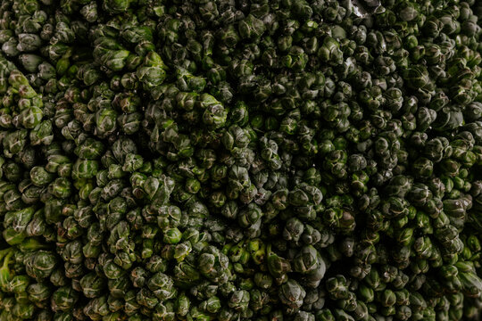 Broccoli macro texture background with fresh green detail