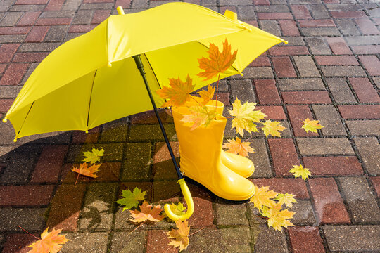 Yellow umbrella and rubber boots with autumn maple leaves