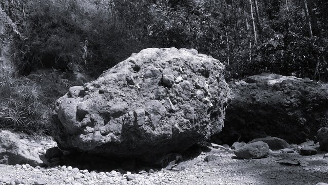 Monochrome photograph of a large rugged boulder surrounded by forest vegetation and smaller rocks, highlighting natural stone textures and wilderness scenery.