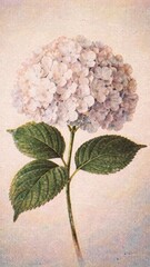 Fototapeta premium Vintage floral elegance for screens mobile wallpaper