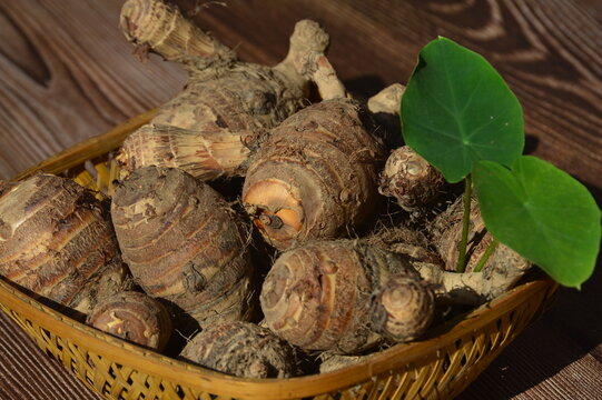 edible colocasia esculenta corms,a traditional starch staple in many tropical areas.selective focus.