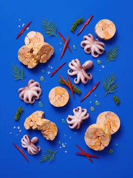 Abstract seafood still life with octopus and seaweed