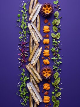 Razor clam and sea urchin gourmet seafood composition