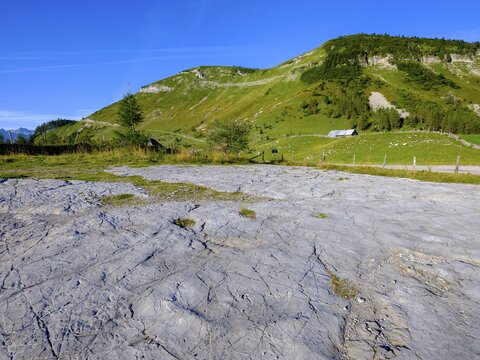 Rock slab through glacier grinding in the alpine pasture area, Trattberg, Salzburger Land, Austria