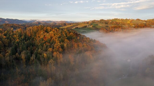 Aerial view, sunrise, typical landscape in autumn with vineyards, South Styrian hills, South Styrian wine route, Styria, Austria
