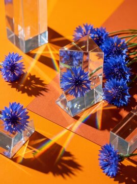 Blue cornflower and prism still life on orange background