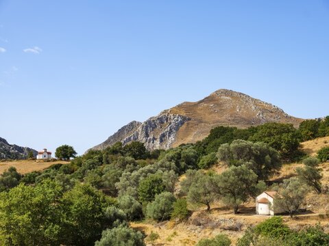 Two chapels in the olive grove, in the back the mountain Faraggi Kotsifou, R&eacute;thimno, Crete, Greece