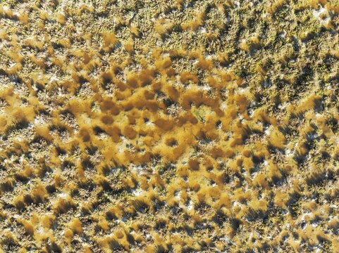 Detail of marshland near Sanl&uacute;car de Barrameda. Aerial view. Drone shot. C&aacute;diz province, Andalusia, Spain