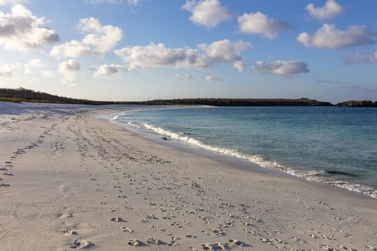 Gardner Bay beach, Isla Espa&ntilde;ola, Galapagos, Ecuador