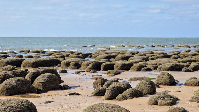 Intertidal landscape with rounded algae covered rocks strewn across wet sand during low tide at seaside