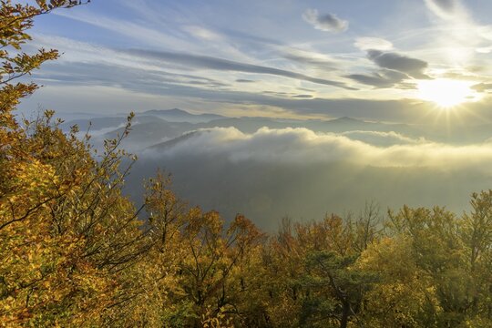Foggy atmosphere at Hocheck, Furth an der Triesting, Lower Austria, Austria