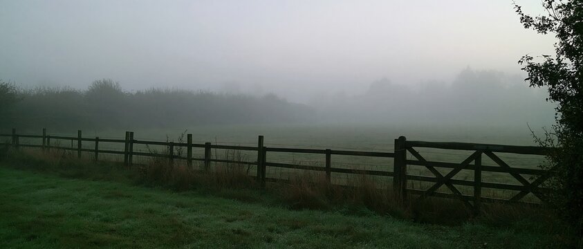 Autumn fog covering a grey field with a damp timber fence line and a dim hedge, a muted atmospheric background for compositing and copy space