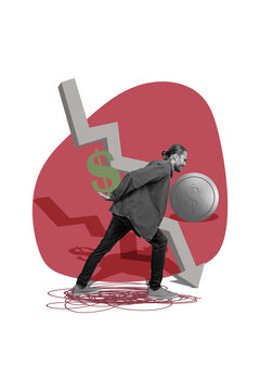 Vertical photo collage of unhappy man carry dollar sign coin arrow decline statistics inflation problem isolated on painted background