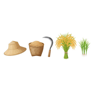 Traditional rice farming equipment set with paddy, sickle, hat and basket vector illustration isolated on white background