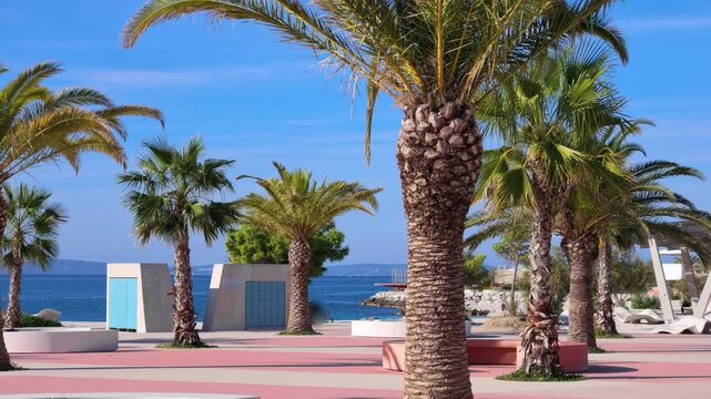 Video of a palm-lined waterfront promenade at Žnjan Beach in Split, Croatia, with the Adriatic coastline in the background. The modern pedestrian environment 