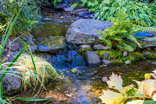 Garden Park Stream 3