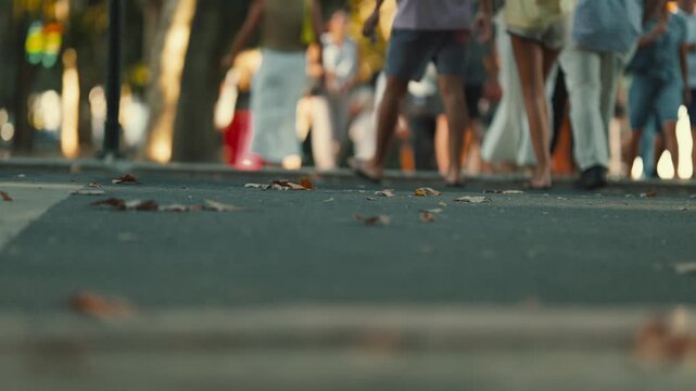People walking on a path with leaves and trees during a warm afternoon in a park