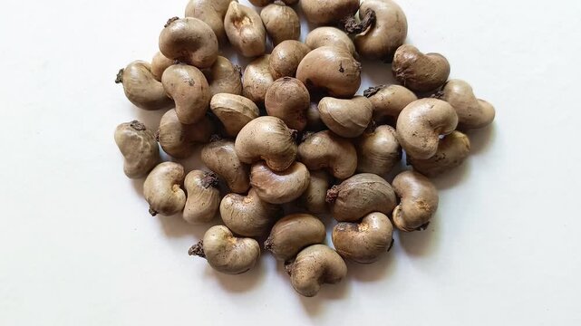 Raw cashew nuts anacardium occidentale in shell pile from Guatemala isolated on white background