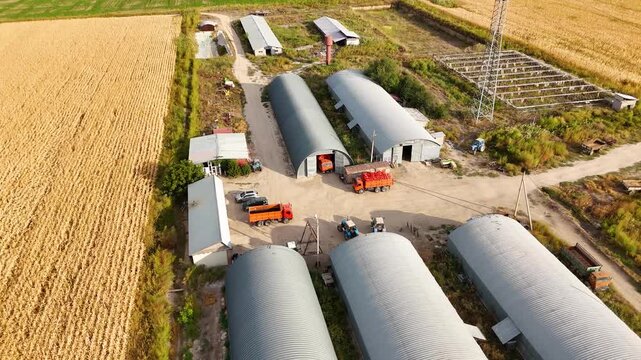 Metal Farm Sheds and Vehicles beside Corn Rows