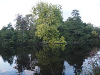 Fototapeta premium Reflections on the water