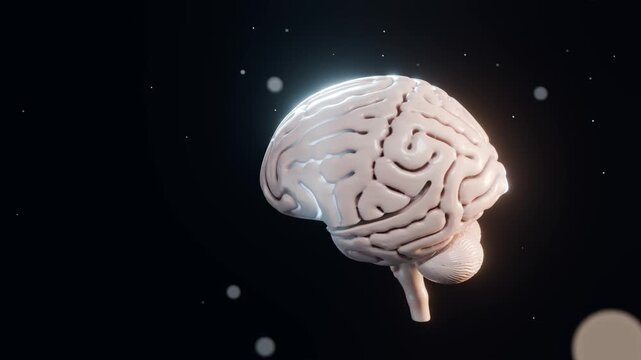 Realistic human brain rotating as a glowing scan turns it into glass, revealing neural pathways with firing neurons and electrical impulses inside, dark background, seamless loop
