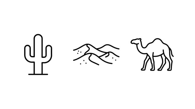 Minimalist desert icons with cactus dunes and camel with line art icons on transparent background