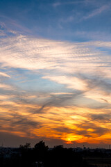 Fototapeta premium 夕日に染まる雲