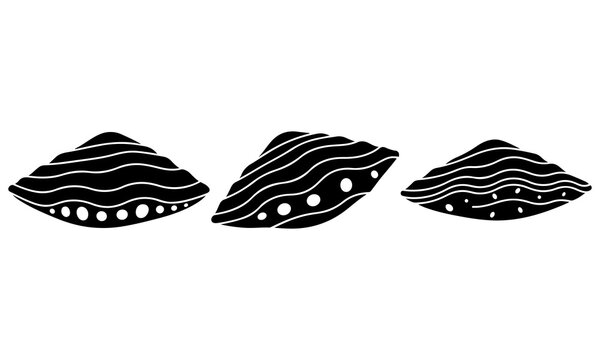 Limpet shell vector bundle, Sea snail limpet shells vector set for marine biology and ocean education, Vintage hand drawn limpet shell bundle vector illustration for coastal decor