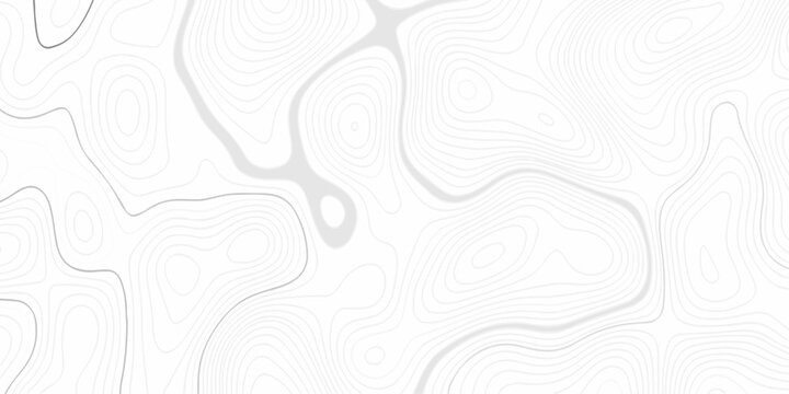 Abstract grid landscape topography white background. Topography Height Contour Map Artwork with Flowing Terrain Lines Transparent Outdoor Landscape Pattern for Vintage. Topo contour paper map design.