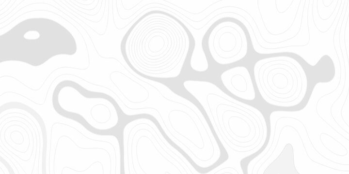 Abstract grid landscape topography white background. Topography Height Contour Map Artwork with Flowing Terrain Lines Transparent Outdoor Landscape Pattern for Vintage. Topo contour paper map design.