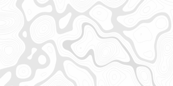 Abstract grid landscape topography white background. Topography Height Contour Map Artwork with Flowing Terrain Lines Transparent Outdoor Landscape Pattern for Vintage. Topo contour paper map design.