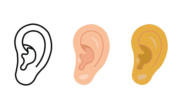 Vector illustration showing three stages of drawing a human ear, from a black and white outline to fully colored skin tones