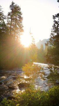 Beautiful morning shot of the sun shining on the Merced River as it runs through Yosemite National Park in California. Vertical video.